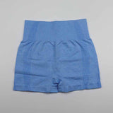 High Waist Shorts