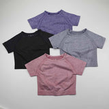 Seamless Sport Top - rulesfitness