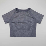 Seamless Sport Top - rulesfitness