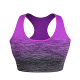 Padded Sport Bra