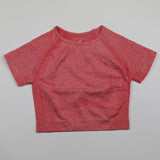 Seamless Sport Top - rulesfitness