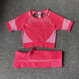 Fitness Sport Suit - rulesfitness