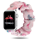 Elastic Band For Apple Watch - rulesfitness