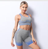Women 2/3/5 Pcs Yoga Set - rulesfitness