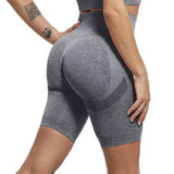 Bottom Push Up Shorts - Rulesfitness