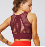 Crop Top with Removable Cups - Rulesfitness