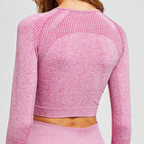 Women  Sport Crop Top - rulesfitness